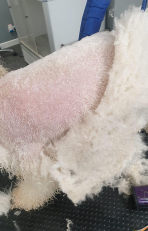 De-shedding process